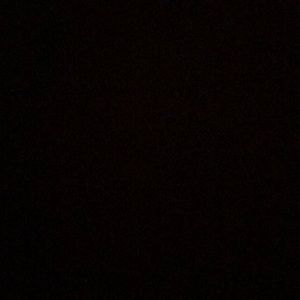 Meet your Posher, Omarion